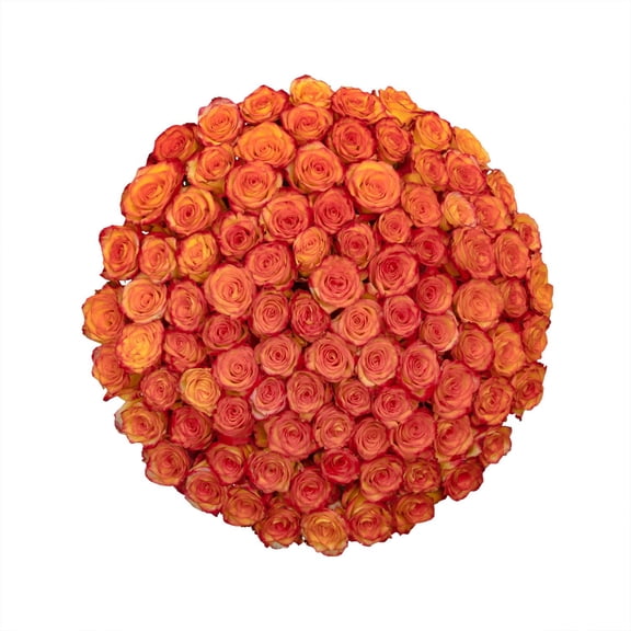 Member's Mark Ecuadorian Premium Roses, choose color variety and stem count