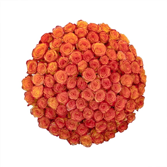 Member's Mark Ecuadorian Premium Roses, choose color variety and stem count