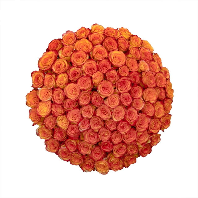 Member's Mark Ecuadorian Premium Roses, choose color variety and stem count