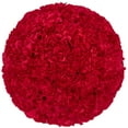 thumbnail image 1 of Member's Mark Carnations, Choose color and stem count, 1 of 7