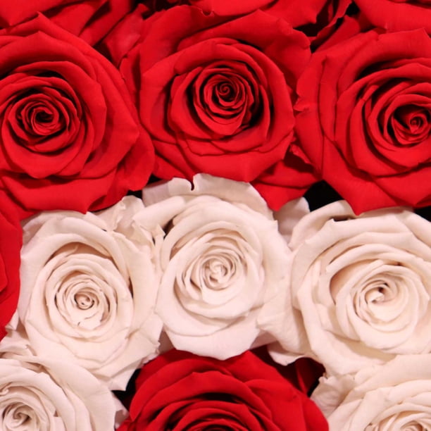 【love rose様】専用・赤360g×3≪リクエスト特割特価≫ Member's Mark I LOVE YOU XXL Premium Preserved Rose Gift Display