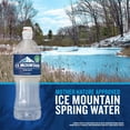 thumbnail image 4 of Ice Mountain 100% Natural Spring Water 700 mL, 24 pk., 4 of 10