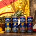 thumbnail image 9 of Jumex Hard Nectar Juice Variety Pack, 12 fl. oz. can, 12 pk., 9 of 11