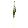 thumbnail image 4 of Member's Mark Stock, 100 stems, choose color, 4 of 7