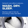 thumbnail image 7 of Sealy Dreamlife 2-Pack Extra Firm Support Foam Core Pillow, Assorted Sizes, 7 of 7