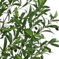thumbnail image 2 of Artificial 7' Premium Olive Tree in Oversized Pot, 2 of 5