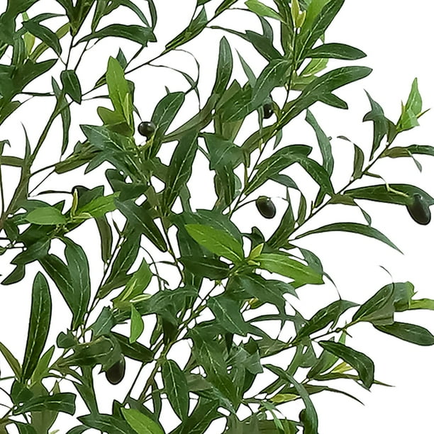 Artificial 7' Premium Olive Tree in Oversized Pot - Samsclub.com