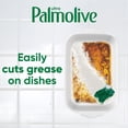 thumbnail image 2 of Palmolive Antibacterial Dishwashing Liquid Dish Soap, Orange 102 fl.oz., 2 of 6