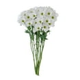 thumbnail image 2 of Member's Mark Pompon Daisies, 90 stems (Choose color), 2 of 4