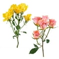 thumbnail image 2 of Member's Mark Spray Roses, Choose color variety and stem count, 2 of 3