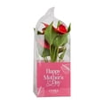 thumbnail image 3 of Live Mother's Day Flowering Assortment, Anthurium or Orchid, 3 of 10