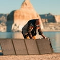 thumbnail image 5 of EcoFlow 220W Portable Solar Panel, Foldable & Durable, 5 of 5
