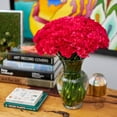 thumbnail image 6 of Member's Mark Carnations, choose color and stem count, 6 of 6