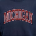 thumbnail image 6 of State of Mine Varsity Arch State Fleece Sweatshirt, 6 of 7