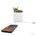 thumbnail image 3 of Tech Squared Power Bloom Charging Decorative Plant with Built-in retractable USB-C cable, 3 of 8