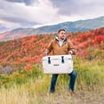 thumbnail image 7 of Lifetime 65-Quart High Performance Cooler, Choose Color, 7 of 16