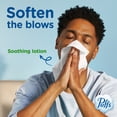 thumbnail image 6 of Puffs Plus Lotion 2-Ply Facial Tissues 12 Cube Boxes, 72 tissues/box, 6 of 9