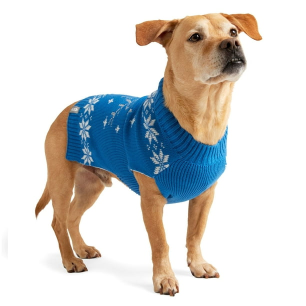 捨七　summer holiday PET 捨七 summer holiday PET