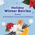 thumbnail image 6 of Suavitel Limited Edition Liquid Fabric Softener, Winter Berries, 235 loads, 160 fl. oz., 6 of 9