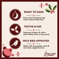 thumbnail image 5 of Holiday Birdseed Wreath, 5 of 8