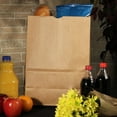 thumbnail image 1 of Duro 1/6 BBL Kraft Bag -  500 ct., 1 of 6