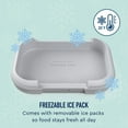 thumbnail image 3 of Bentgo Kids Chill Lunch Box, 3 Pack, 3 of 7