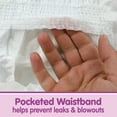 thumbnail image 4 of Member's Mark Premium Baby Diapers, Sizes Newborn - 7, 4 of 11