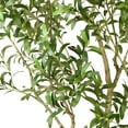 thumbnail image 2 of Faux 8' Olive Tree in Oversized Ceramic Pot, 2 of 6