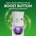 thumbnail image 10 of Air Wick Plug In Scented Oil Air Fresheners,  Lavender & Chamomile, 2 warmers + 8 refills, 10 of 12