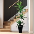 thumbnail image 3 of Artificial 6' Dracaena Tree in a Black Metal Planter, 3 of 5