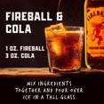 thumbnail image 5 of Fireball Cinnamon Malt Beverage, 50 ml bottle, 12 pk., 5 of 5