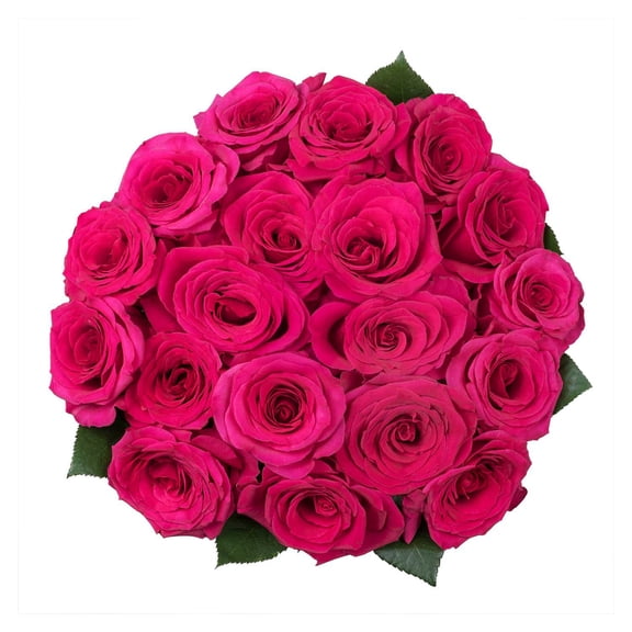 Member's Mark Premium Roses, 18 stems, choose color