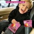 thumbnail image 10 of Bob Snail Fruit Snacks Variety Pack, Apple-Strawberry & Apple-Raspberry, 0.7 oz., 18 pk., 10 of 11