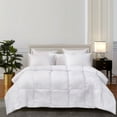 thumbnail image 1 of Martha Stewart 100% Cotton White Feather and Down Comforter, Assorted Sizes, 1 of 8