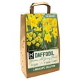 thumbnail image 1 of Member's Mark Daffodil Blooms All Spring Blend Dormant Bulbs, 40pk, 1 of 12