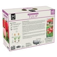 thumbnail image 2 of Member's Mark Tulip Impression Blend Dormant Bulbs, 45pk, 2 of 9