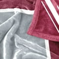 thumbnail image 6 of Logo Brands North Carolina Central Eagles 60"x70" Super Plush Blanket, 6 of 6