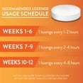 thumbnail image 5 of Member's Mark Nicotine Lozenge Mint Flavor 4 mg, 27 ct., 8pk., 5 of 8