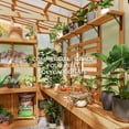thumbnail image 8 of Backyard Discovery 9' x 6' Modern Cedar Greenhouse, 8 of 15