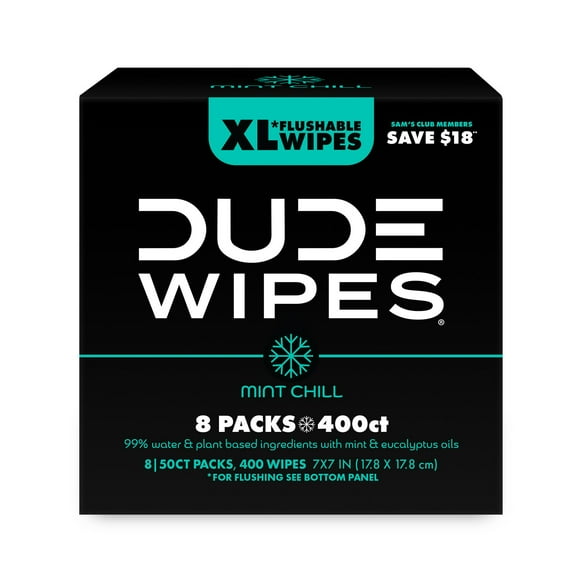 DUDE WIPES XL Flushable Wipes, Mint Chill, 8 ct., 400 wipes