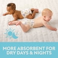 thumbnail image 7 of Member's Mark Premium Baby Diapers, Sizes Newborn - 8, 7 of 16