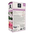 thumbnail image 2 of Member's Mark Garden Amaryllis Pink & Ixia Pink Dormant Bulbs, 25pk, 2 of 10