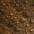 thumbnail image 4 of Select Surfaces Smoked Hickory SpillDefense Laminate Flooring, 4 of 11