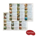 thumbnail image 4 of Member's Mark Giant Dino Egg Play Set, 60 pc., 4 of 6