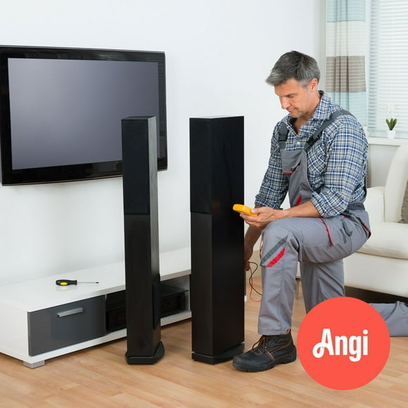 Angi Smart Speaker Installation