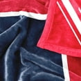 thumbnail image 6 of Logo Brands Fresno State Bulldogs 60"x70" Super Plush Blanket, 6 of 6