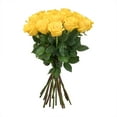 thumbnail image 2 of Member's Mark Premium Roses, 18 stems, choose color, 2 of 4