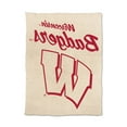 thumbnail image 2 of Logo Brands Wisconsin Badgers Luxe Dreams Throw, 60" x 80", 2 of 6