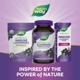 thumbnail image 9 of Nature's Way Sambucus Elderberry Immune Gummies, 120 ct., 9 of 11