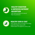 thumbnail image 6 of IAMS Proactive Health Minichunks Chicken Recipe Adult Dry Dog Food, Multi-sizes, 6 of 12